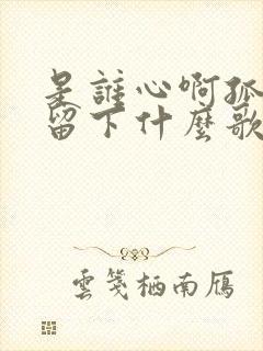 是谁心啊孤单的留下什么歌