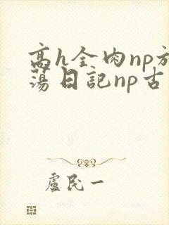 高h全肉np放荡日记np古代