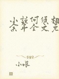 小说何须相思煮余年全文免费阅读