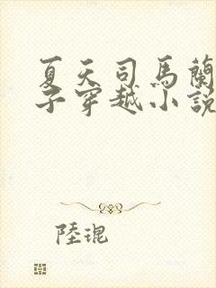 夏天司马兰九皇子穿越小说免费阅读