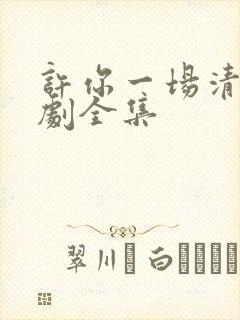 许你一场清欢短剧全集