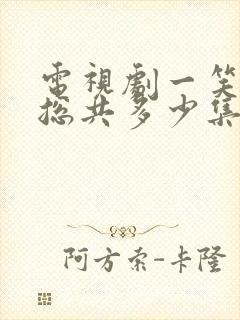 电视剧一笑随歌总共多少集