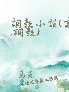 调教小说(高h,调教)