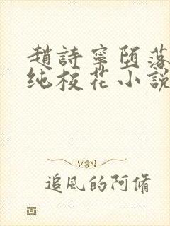 赵诗宁堕落的清纯校花小说