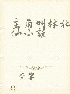 主角叫林北的修仙小说