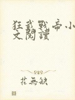 狂武战帝小说全文阅读