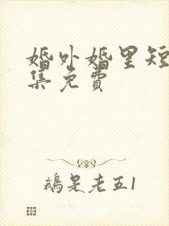 婚外婚里短剧全集免费