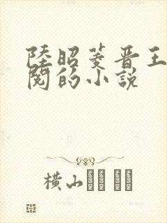 陆昭菱晋王周时阅的小说