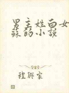 男主姓白女主姓苏的小说