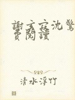 谢玄寂沈惊澜免费阅读