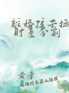 离婚孩子抚养权 财产分割