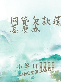 网贷欠款还不起怎么办