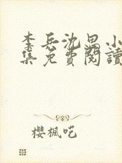 李兵沈思小说全集免费阅读