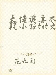 大佬追妻不择手段小说txt文本下载