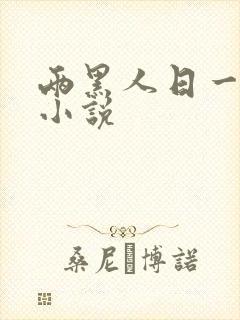 两黑人日一女人小说