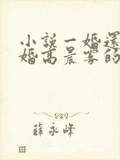 小说一婚还比一婚高晨雾的光