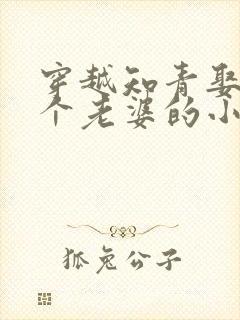 穿越知青娶了三个老婆的小说