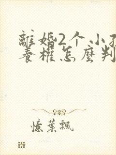 离婚2个小孩抚养权怎么判定