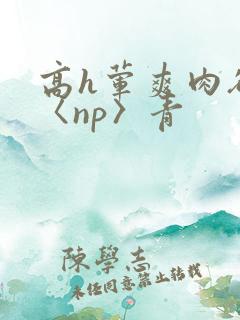 高h荤爽肉欲文〈np〉青