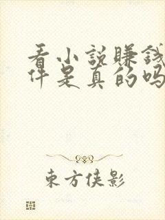 看小说赚钱的软件是真的吗