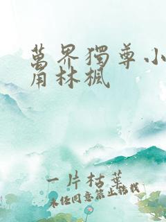 万界独尊小说主角林枫