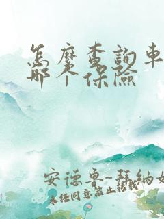 怎么查询车是买哪个保险