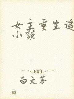 女主重生追夫的小说