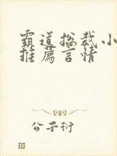 霸道总裁小说书推荐言情