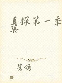 真探第一季第六集