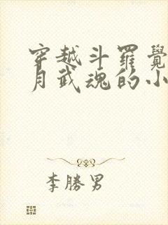 穿越斗罗觉醒日月武魂的小说