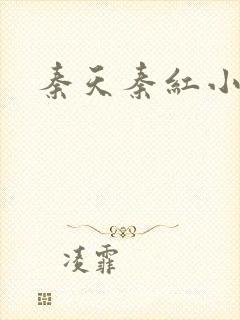 秦天秦红小说