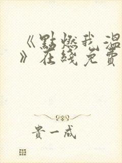 《点燃我温暖你》在线免费观看