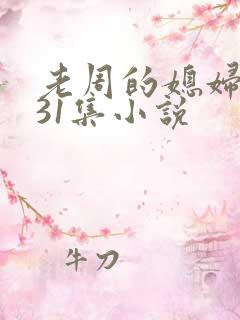 老周的媳妇赵青31集小说