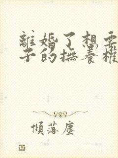 离婚了想要回孩子的抚养权怎么办