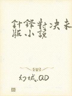 针锋对决未删减版小说