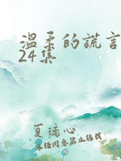 温柔的谎言 第24集