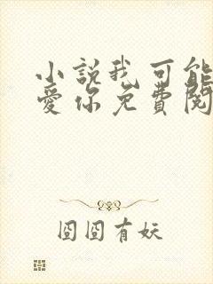 小说我可能不会爱你免费阅读