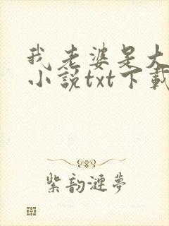 我老婆是大明星小说txt下载