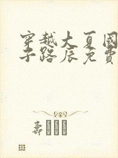 穿越大夏国九皇子路辰免费