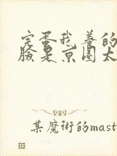 完蛋我养的小白脸是京圈太子爷短视频短剧