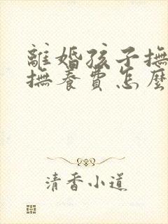 离婚孩子抚养权抚养费怎么分配