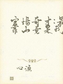 官场奇才:最强靠山竟是我自己李霖全文