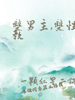 双男主,双性调教