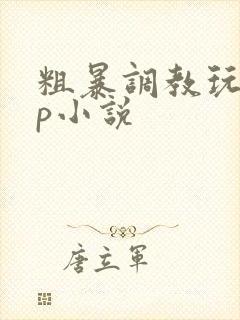 粗暴调教玩弄np小说