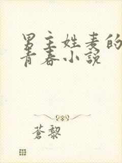 男主姓麦的校园青春小说