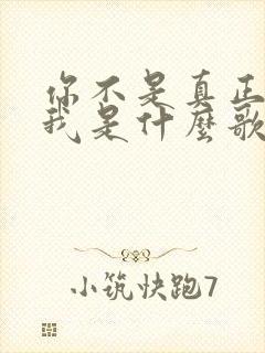 你不是真正的爱我是什么歌