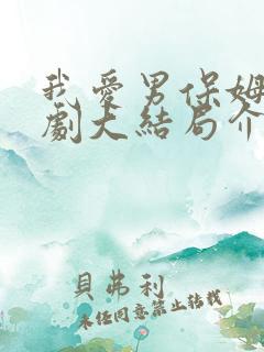 我爱男保姆电视剧大结局介绍