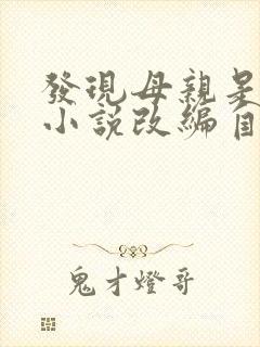 发现母亲是小姐小说改编自哪部小说