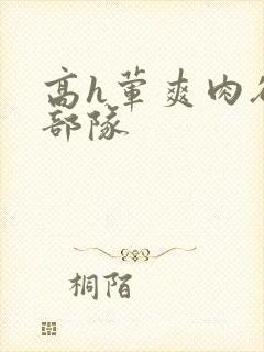 高h荤爽肉欲文部队