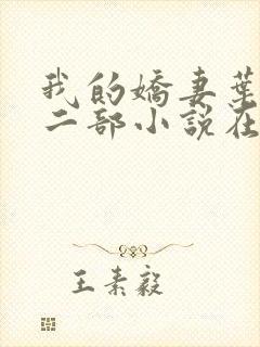 我的娇妻叶晨第二部小说在线阅读